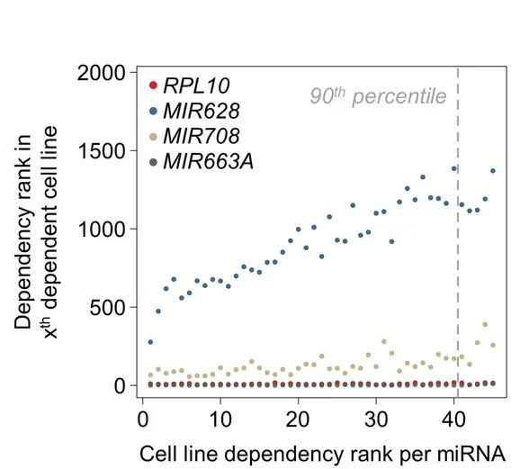 Open access visualization of Scatter Plot, Dependency Ranks, Essential Genes, Non-Essential Genes, RPL10