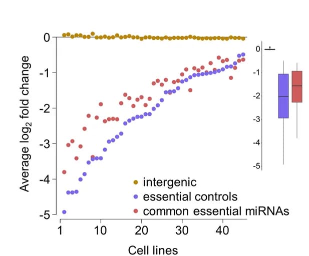Open access visualization of Scatter Plot, Box Plot, LFCs, Essential Genes, Protein-Coding Genes