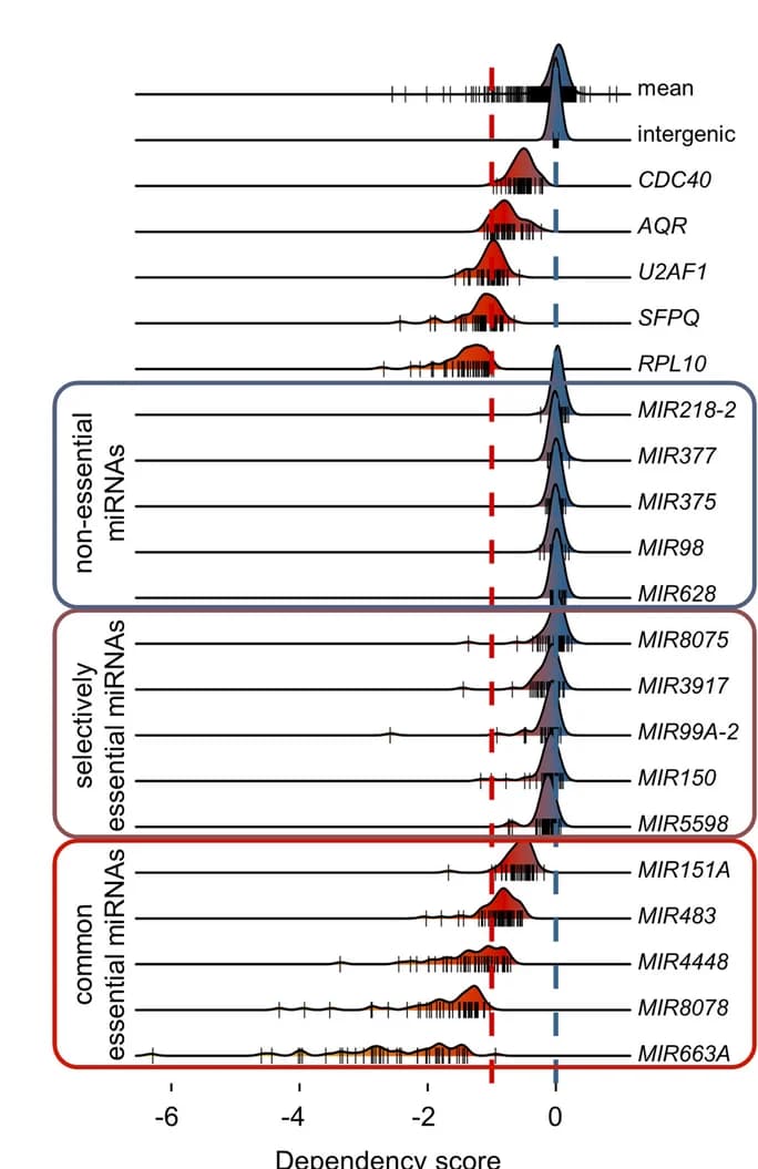 Open access visualization of Ridge Plot, Density Plot, Dependency Scores, miRNAs, Cell Lines