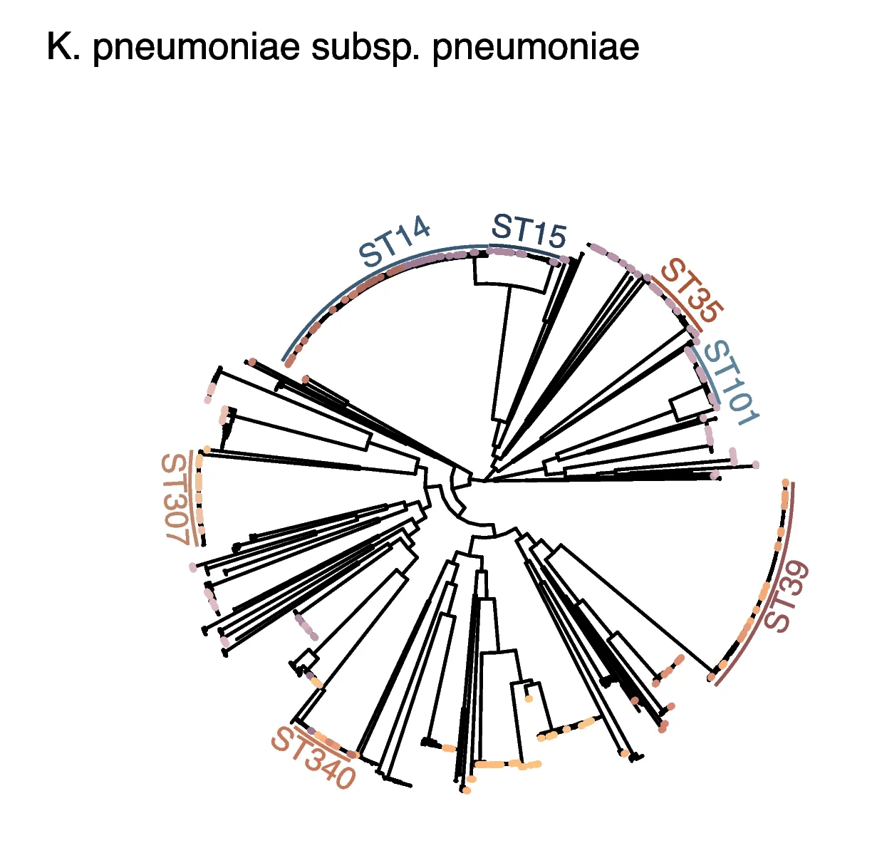 Open access visualization of Network, Pathway, Reference Genomes, Mapping Trees, K. pneumoniae subsp. pneumoniae