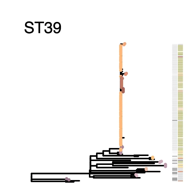 Open access visualization of Network, Pathway, ST39, Isolates, SNPs