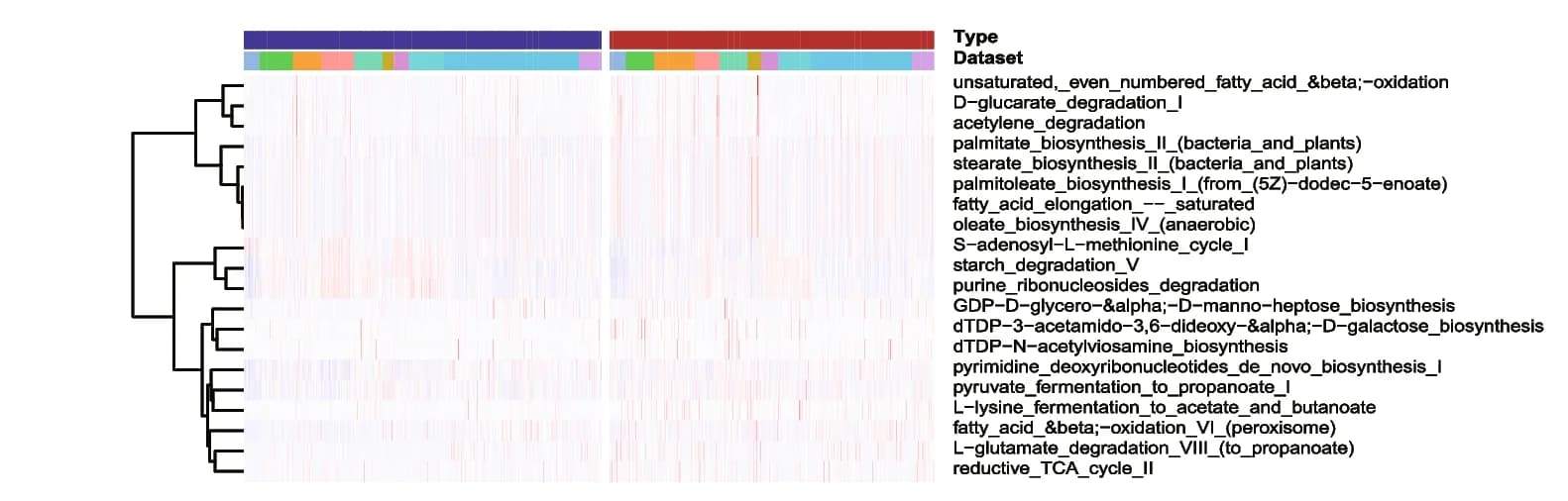 Open access visualization of Heatmap, Clustered, Differential Pathways, Meta-Analysis, Fecal Microbiome