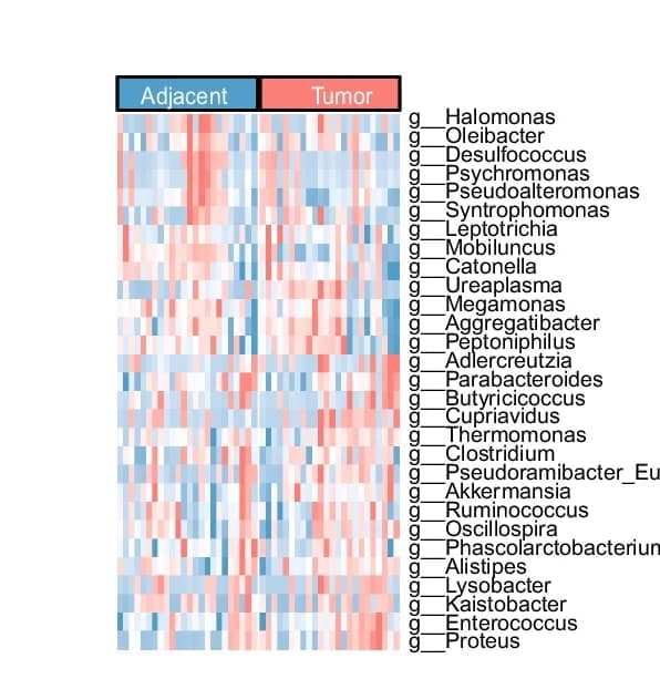 Open access visualization of Heatmap, Differential Taxa, CRC Tissue, AN Tissue, Genus Level