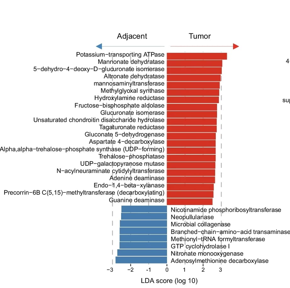 Open access visualization of Bar Plot, Differential Microbial Enzymatic Functions, Tumor Tissue, AN Tissue