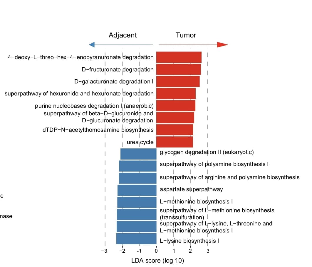 Open access visualization of Bar Plot, MetaCyc Pathways, LDA Score, Tumor Tissue, AN Tissue