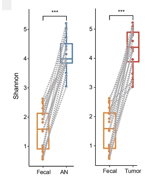 Open access visualization of Box Plot, Scatter Plot, Alpha Diversity, Feces, Tumor