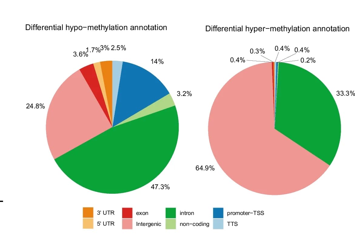 Open access visualization of Pie Chart, Hypo-methylated Regions, Hyper-methylated Regions, Genomic Region