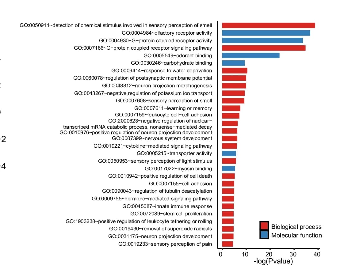 Open access visualization of Bar Plot, Functional Enrichment, Differentially Methylated Genes