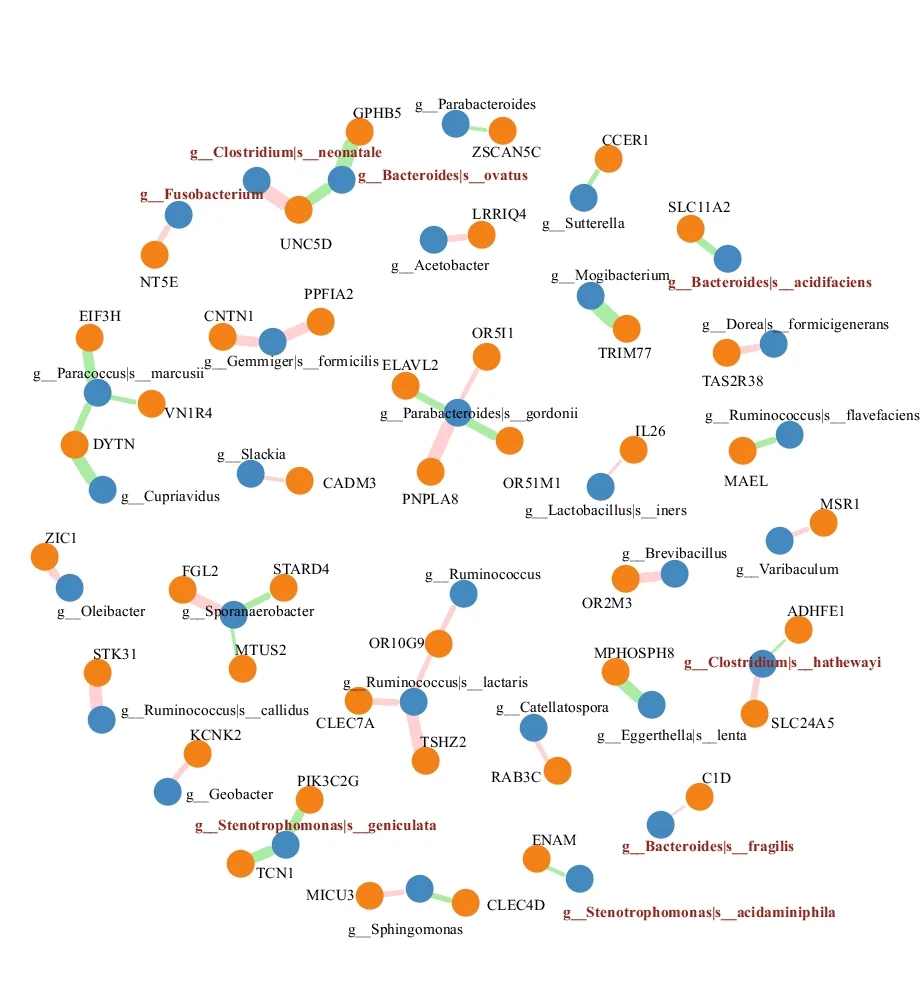 Open access visualization of Network, Bacterial Abundance, Promoter CpG Loci, Tumor Tissues, Clinical Samples