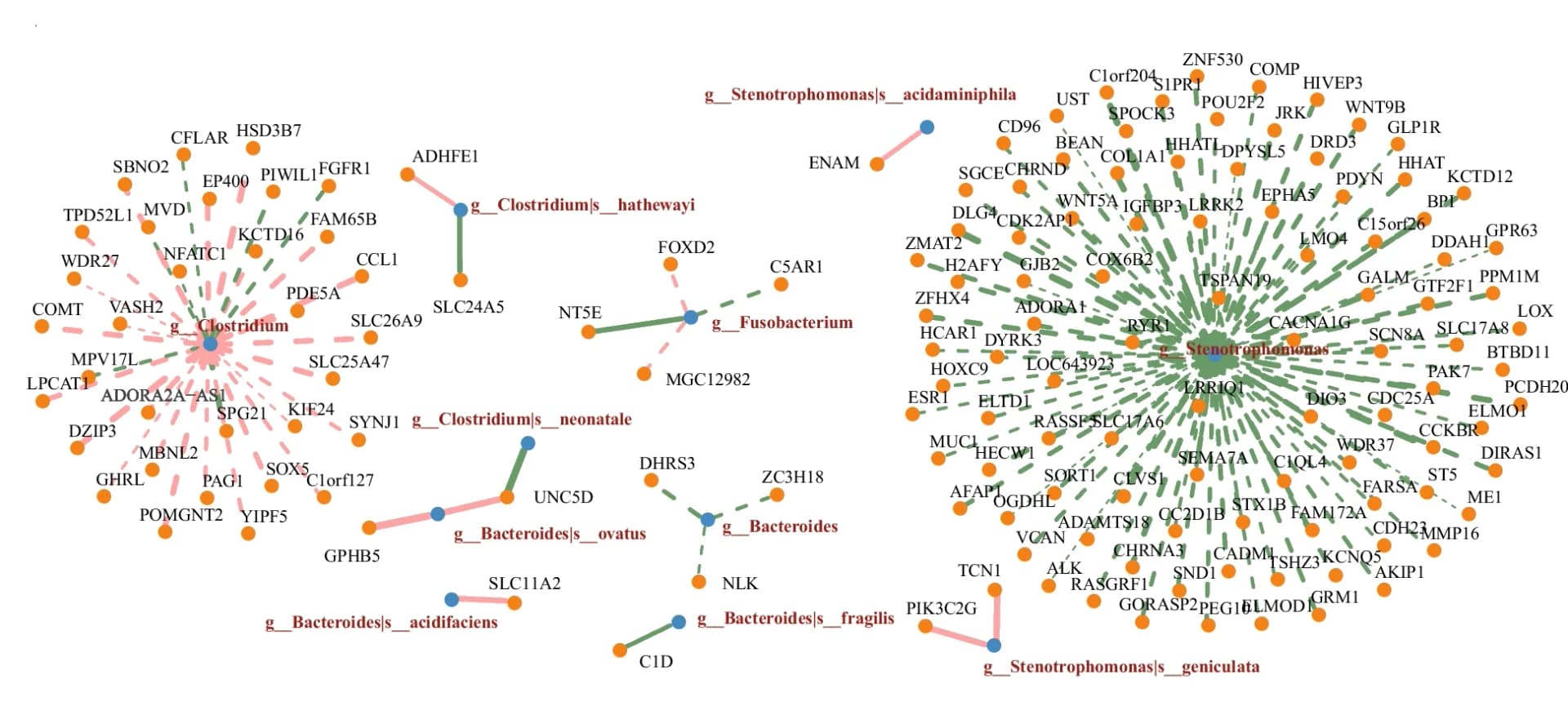 Open access visualization of Network, Pathway, CpG Methylation, TCGA-CRC Cohort, Tumor Tissues