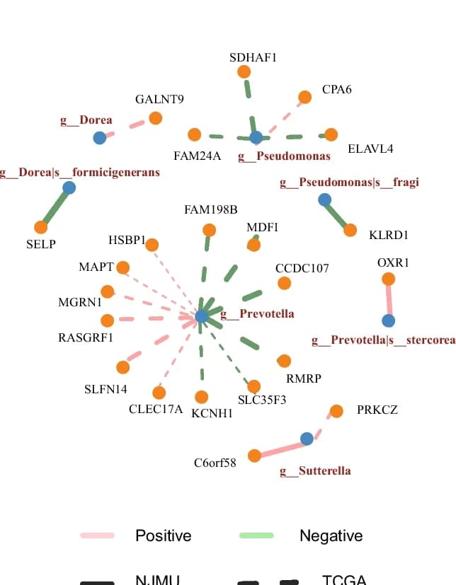 Open access visualization of Network, Pathway, CpG Methylation, TCGA-CRC Cohort, AN Tissues
