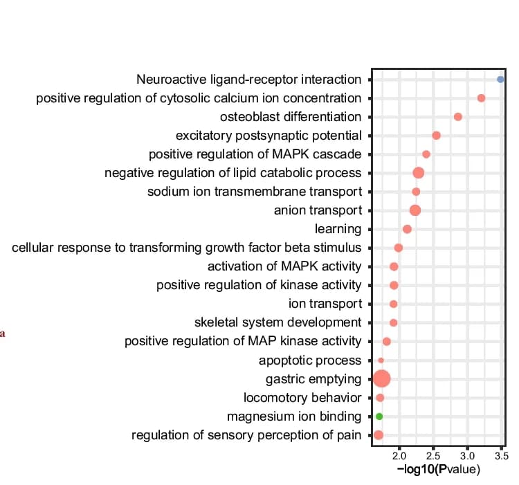 Open access visualization of Scatter Plot, Bubble Plot, Volcano Plot, Function Enrichment, Microbial-Associated Genes