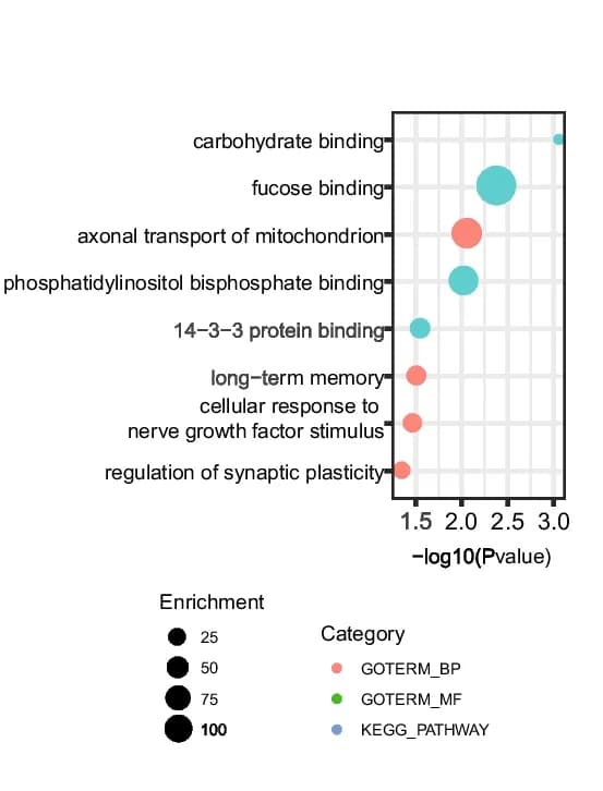 Open access visualization of Bubble Plot, Function Enrichment, Microbial-Associated Genes, Tumor Tissues