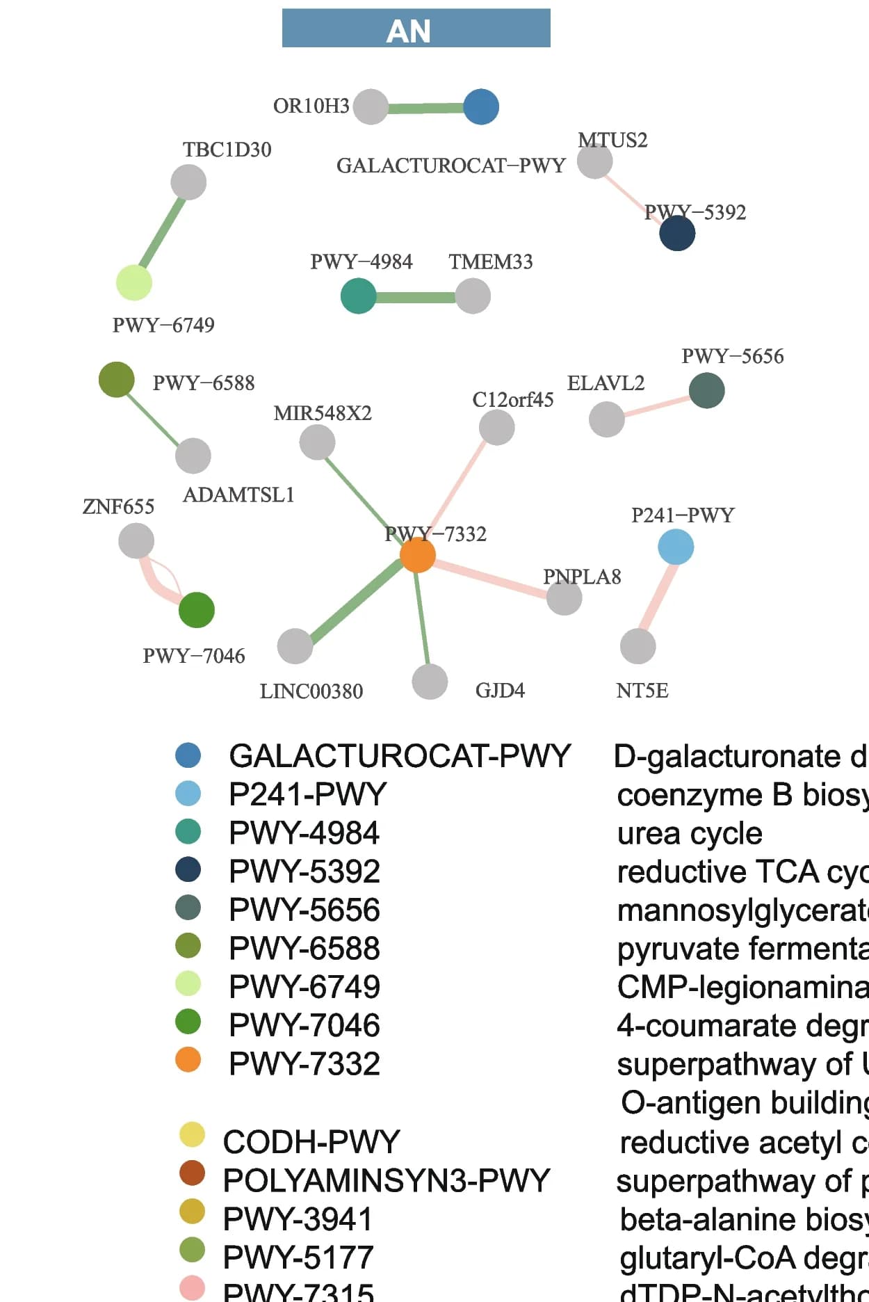 Open access visualization of Network, Pathway, Microbial Pathways, Host Gene Methylation, AN Tissues