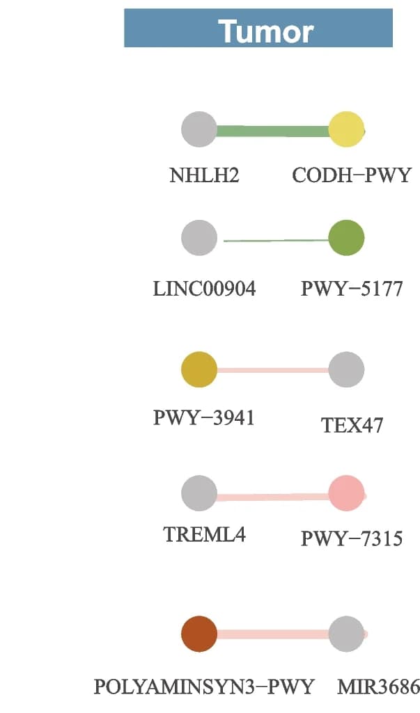 Open access visualization of Network, Pathway, Microbial Pathways, Host Gene Methylation, Tumor Tissues