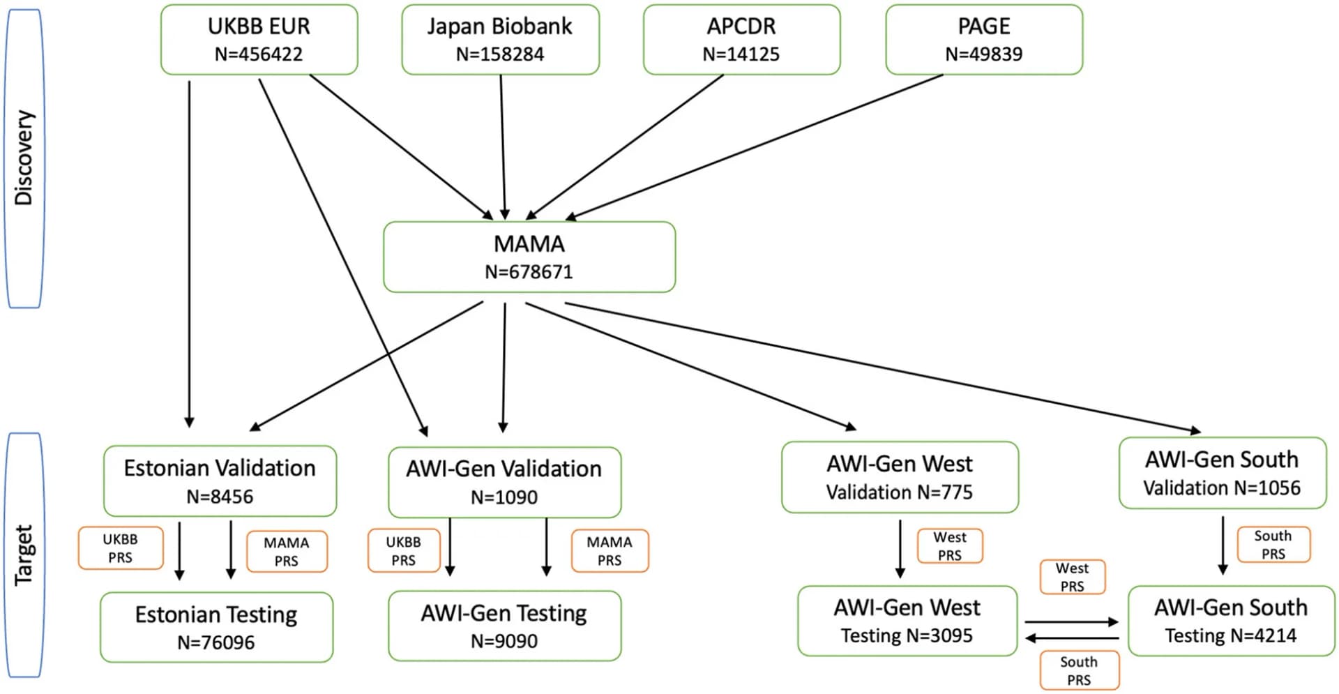Open access visualization of Workflow, Flowchart, UKBB, MAMA, Estonian Biobank