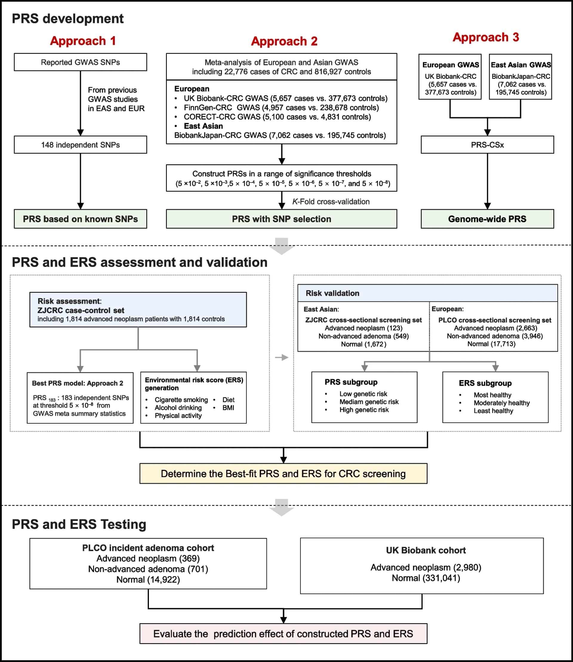 Open access visualization of Workflow, Flowchart, Study Design, Trans-ancestry PRS, CRC Screening