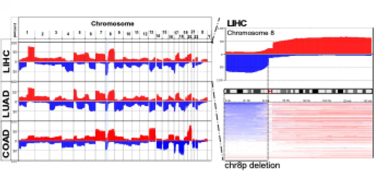 Open access visualization of Line Plot, Heatmap, SCNA, TCGA Datasets, Tumor Entities