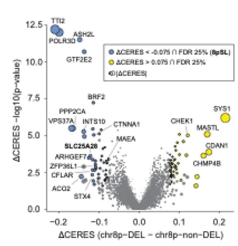 Open access visualization of Volcano Plot, Bubble Plot, Scatter Plot, Genetic Vulnerabilities, chr8p