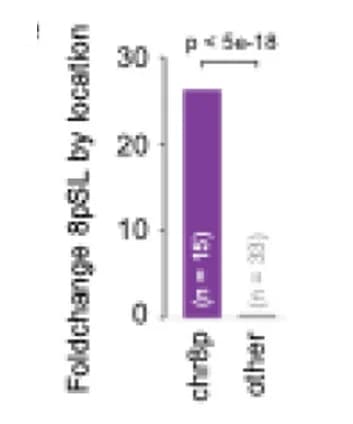 Open access visualization of Bar Plot, Enrichment, Foldchange, 8pSL, chr8p
