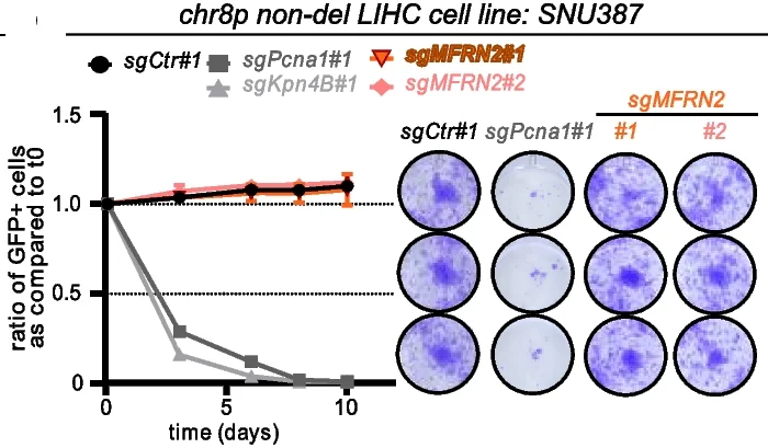 Open access visualization of Line Plot, Error Bars, Photo, Competition Assay, Colony Formation Assay