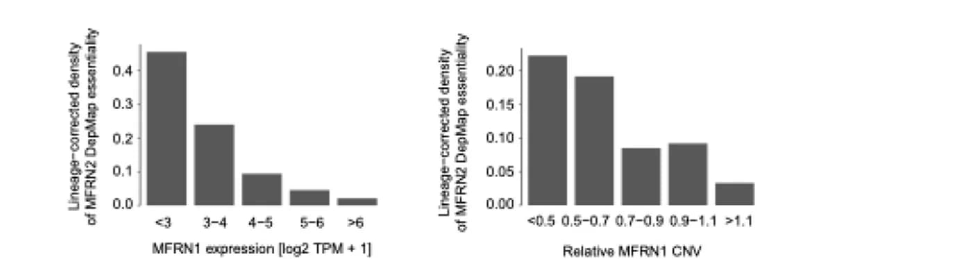 Open access visualization of Bar Plot, Histogram, MFRN2 Essentiality, Cancer Dependency Map, MFRN1 Expression