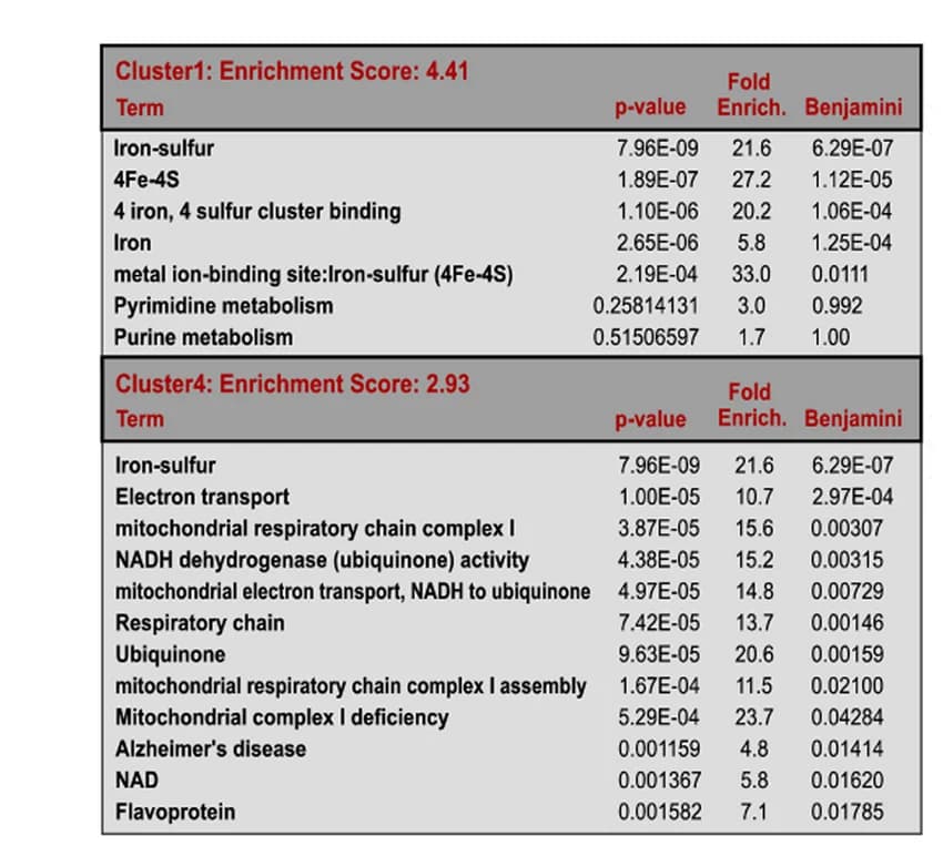 Open access visualization of Table Image, DAVID Functional Annotation, Protein Clustering, Downregulated Proteins, Fold Enrichment