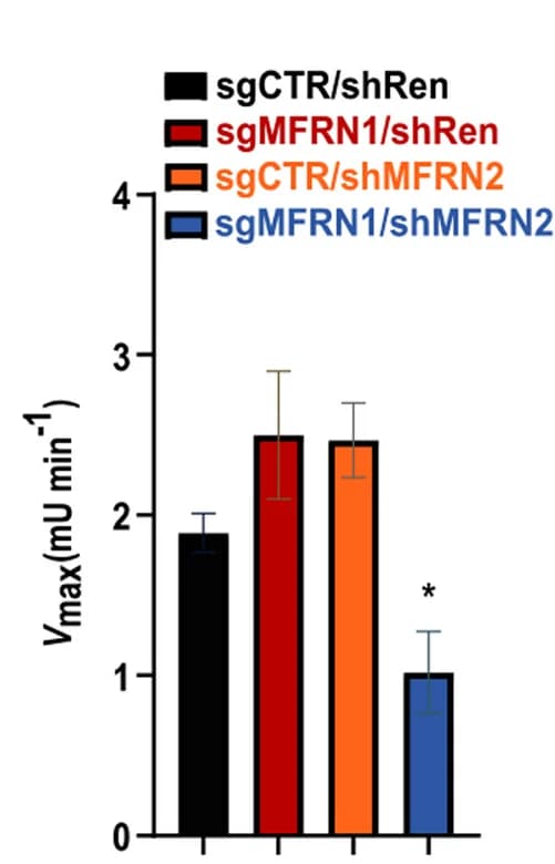 Open access visualization of Bar Plot, Error Bars, Aconitase Activity, Mitochondrial Lysates, Enzyme Activity