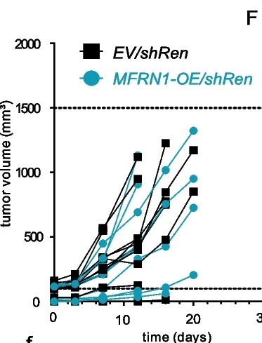 Open access visualization of Line Plot, PLC Cells, SpCas9, MFRN1, Control Construct