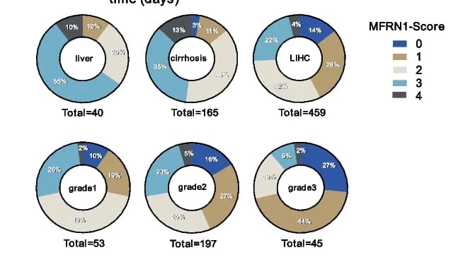 Open access visualization of Donut Chart, Donut Diagram, MFRN1-Score Distribution, Liver Samples