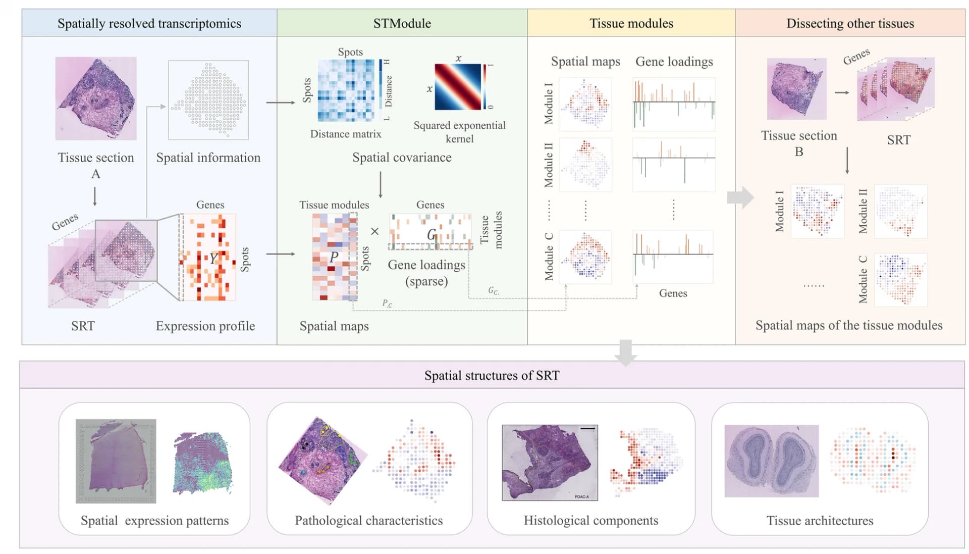 Open access visualization of Workflow, Heatmap, Bar Plot, Microscopy, Scatter Plot