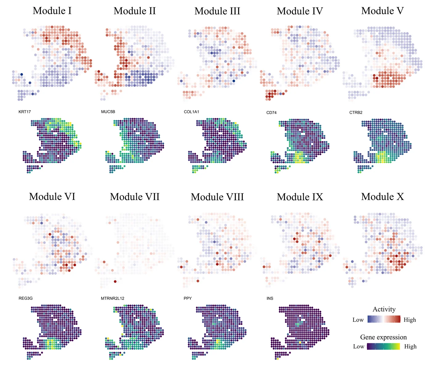 Open access visualization of Scatter Plot, Heatmap, Tissue Modules, Gene Expression, Spatial Map