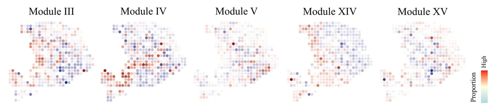 Open access visualization of Scatter Plot, Heatmap, Spatial Patterns, Tissue Modules