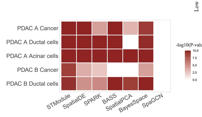Open access visualization of Heatmap, GSEA, Associated Genes