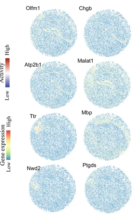Open access visualization of Scatter Plot, Spatial Expression, Associated Genes, Tissue Modules, Mouse Hippocampus