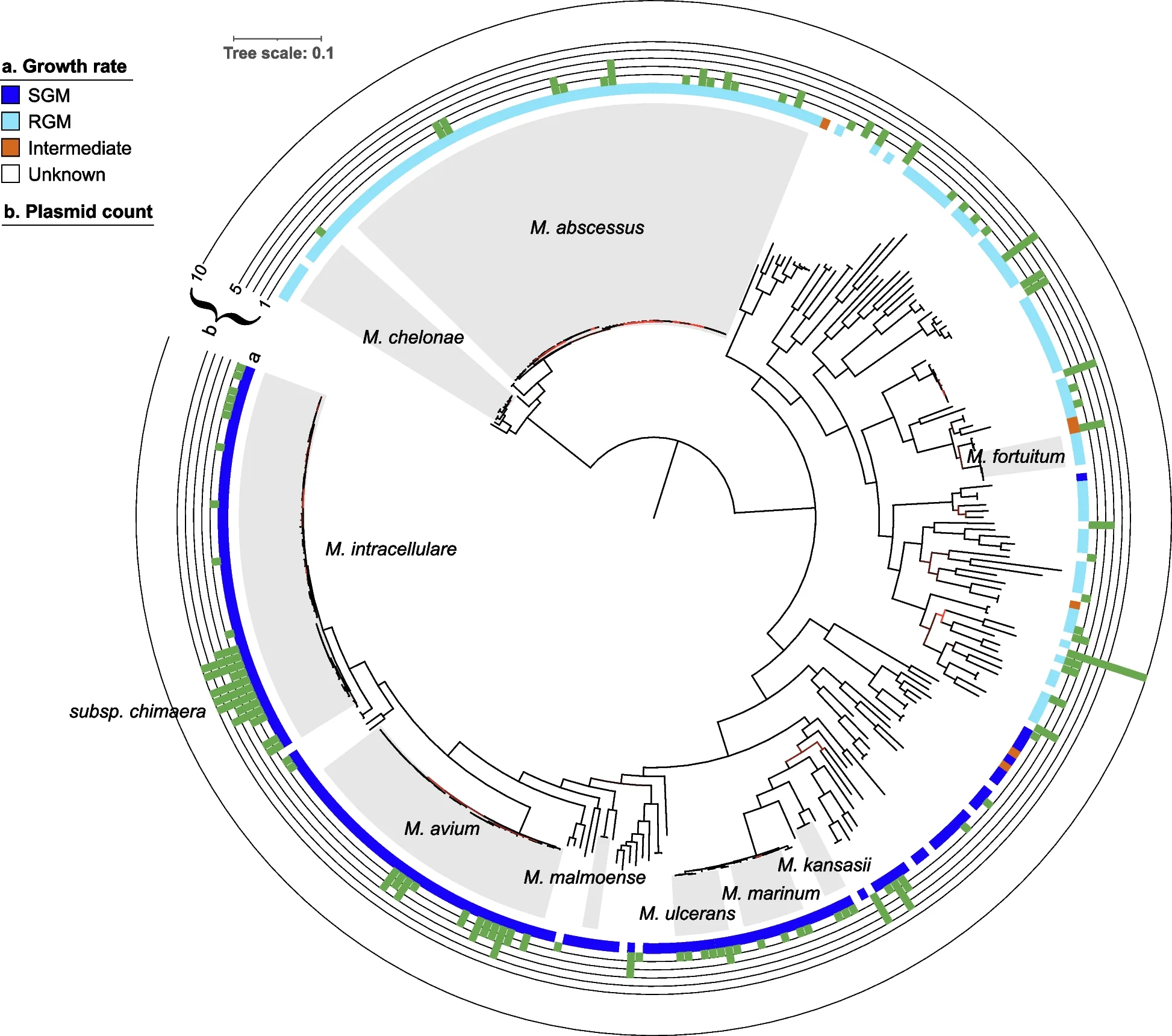Open access visualization of Network, Bar Plot, Phylogeny, Plasmid, Genome
