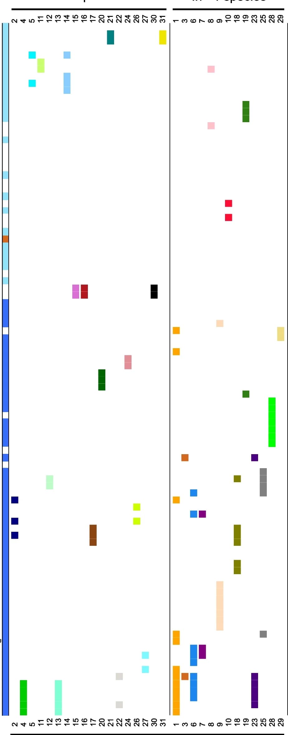 Open access visualization of Workflow, Illustration, Phylogeny, Plasmid Clusters, Non-tuberculous Mycobacteria