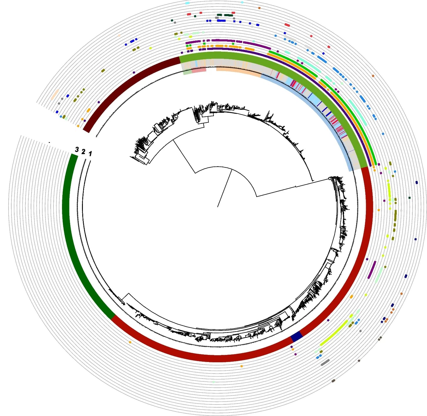 Open access visualization of Network, Pathway, Plasmid Distribution, M. avium Complex, Illumina Sequencing
