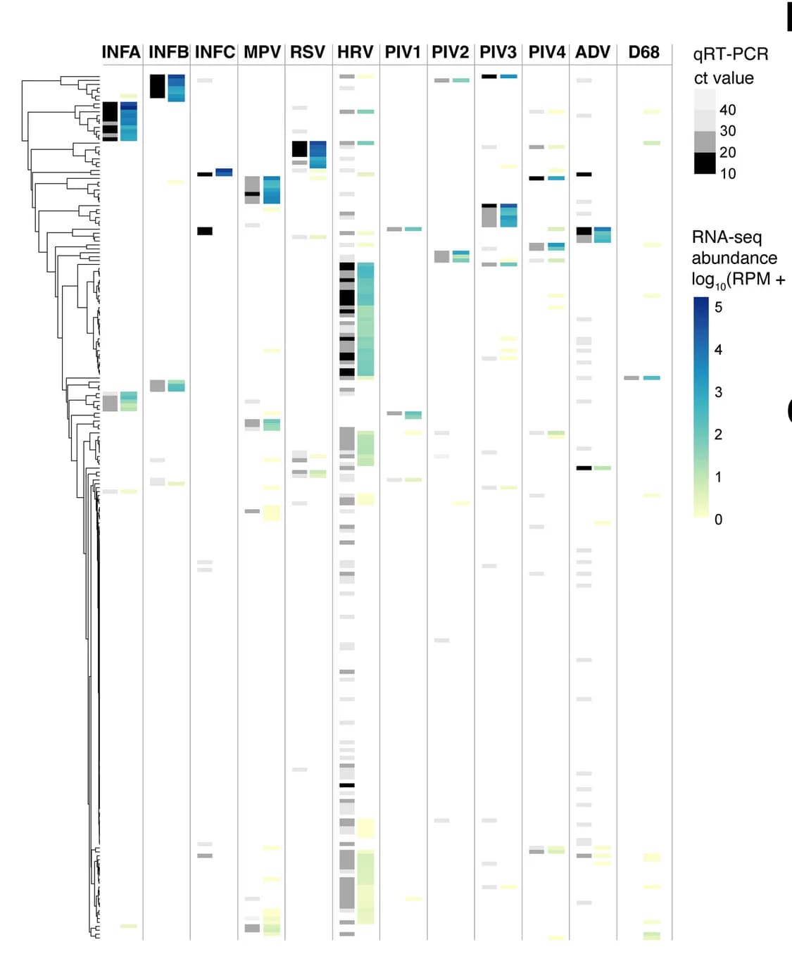 Open access visualization of Heatmap, Clustered, Abundance Heatmap, Viruses, NP Metatranscriptomes