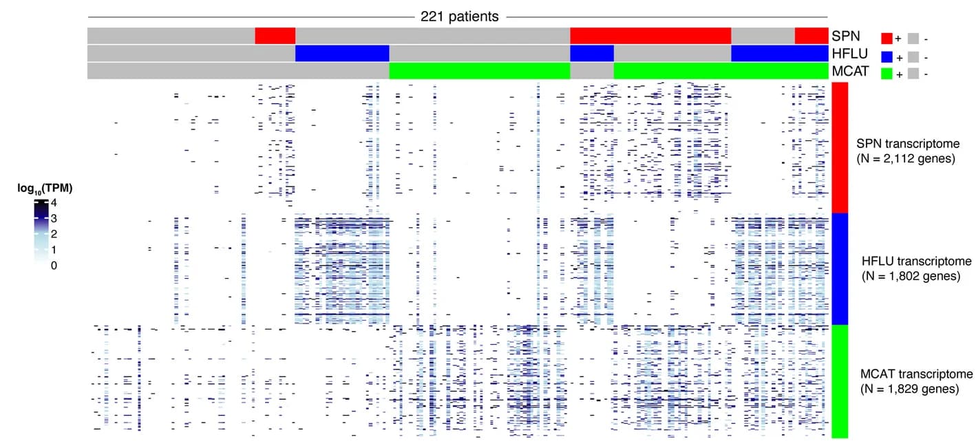 Open access visualization of Heatmap, Gene Expression, SPN, HFLU, MCAT