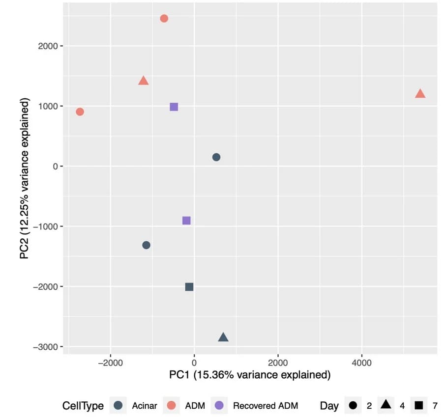 Open access visualization of Scatter Plot, PCA, Principal Component Analysis, Laser Capture Microdissection, Acini