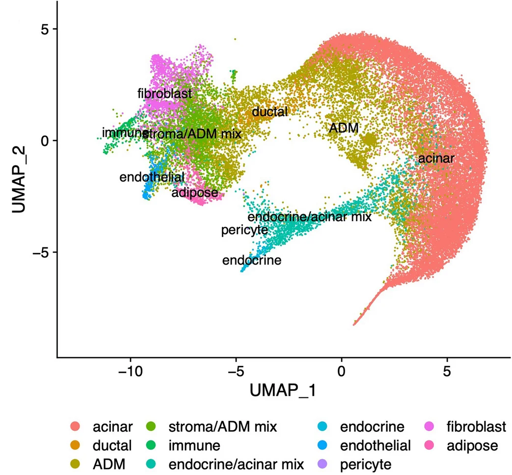 Open access visualization of UMAP, UMAP Projection, Visium ST Spots, Cell Types, Gene Expression