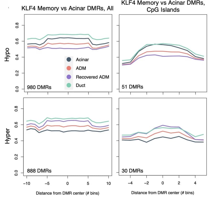 Open access visualization of Line Plot, Meta-Region Plots, ADM, Acinar DMRs, CpG Islands