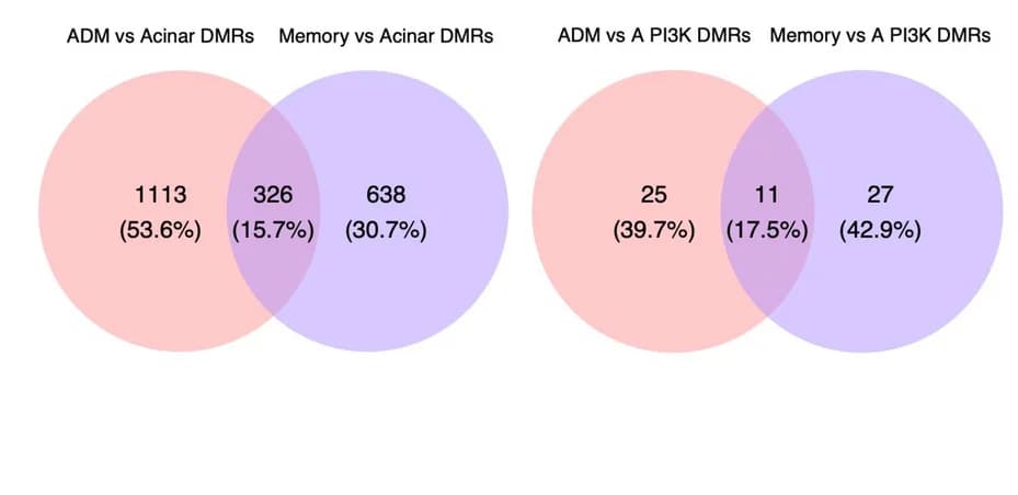 Open access visualization of Venn Diagram, ADM, Acinar DMRs, Gene Overlap, PI3K Pathway Genes