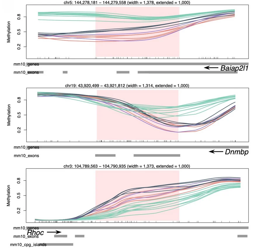 Open access visualization of Line Plot, Genomic Line Plots, DNA Methylation, Rho/Rac/Cdc42 GTPase-related Genes, CpG Sites