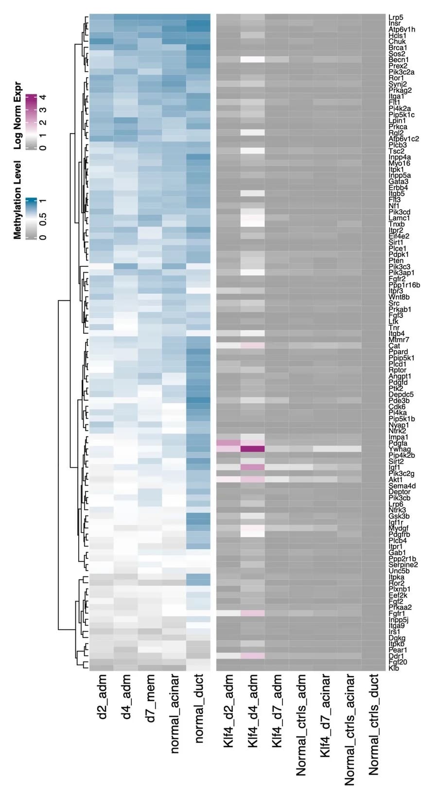 Open access visualization of Heatmap, Clustered, Methylation Level, Gene Expression, PI3K-related Genes