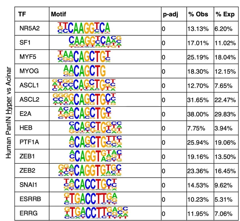Open access visualization of Table Image, Motif Enrichment Analysis, Human PanIN, Acinar Hyper DMRs, Acinar Donors
