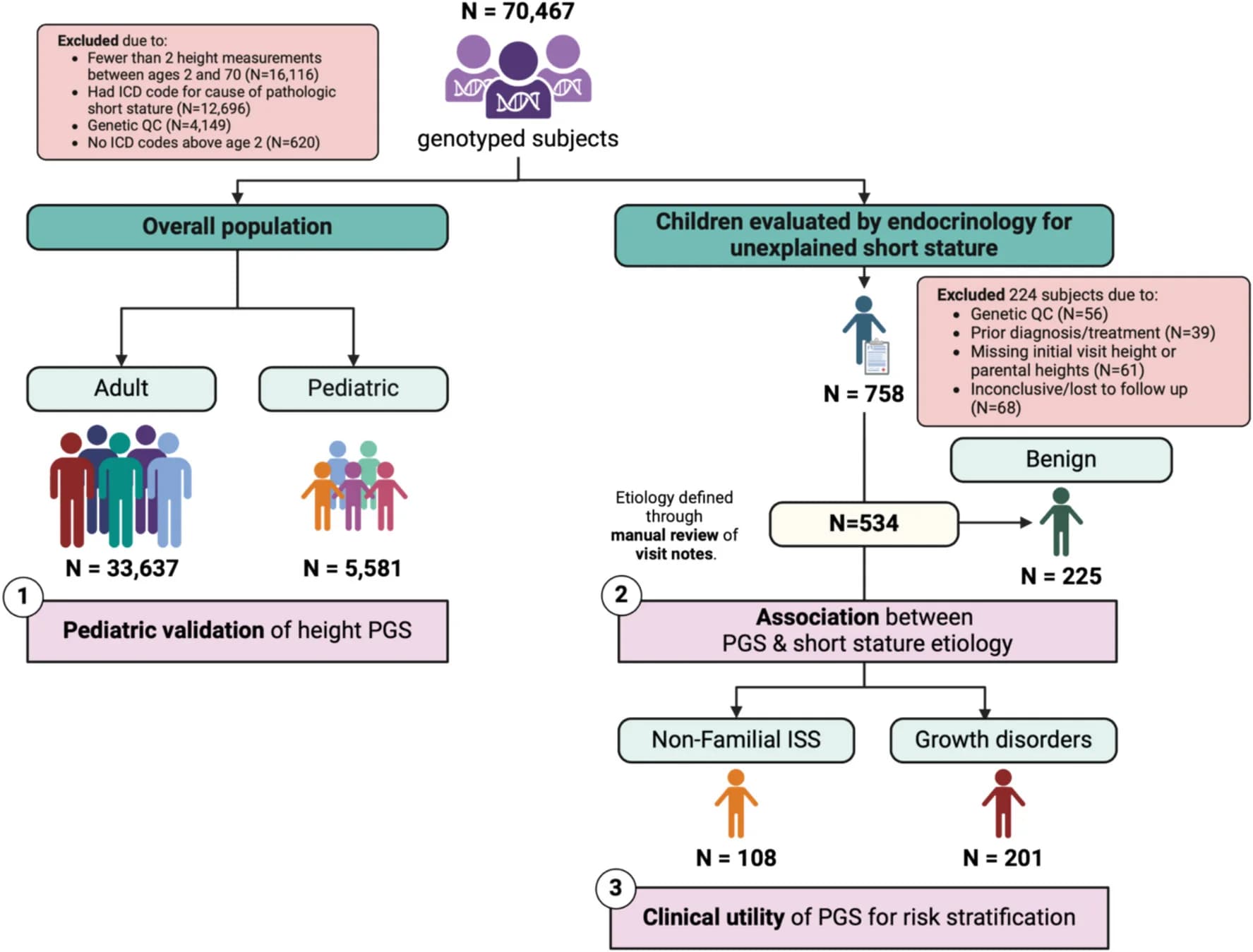Open access visualization of Workflow, Flowchart, Illustration, Study Populations, Idiopathic Short Stature