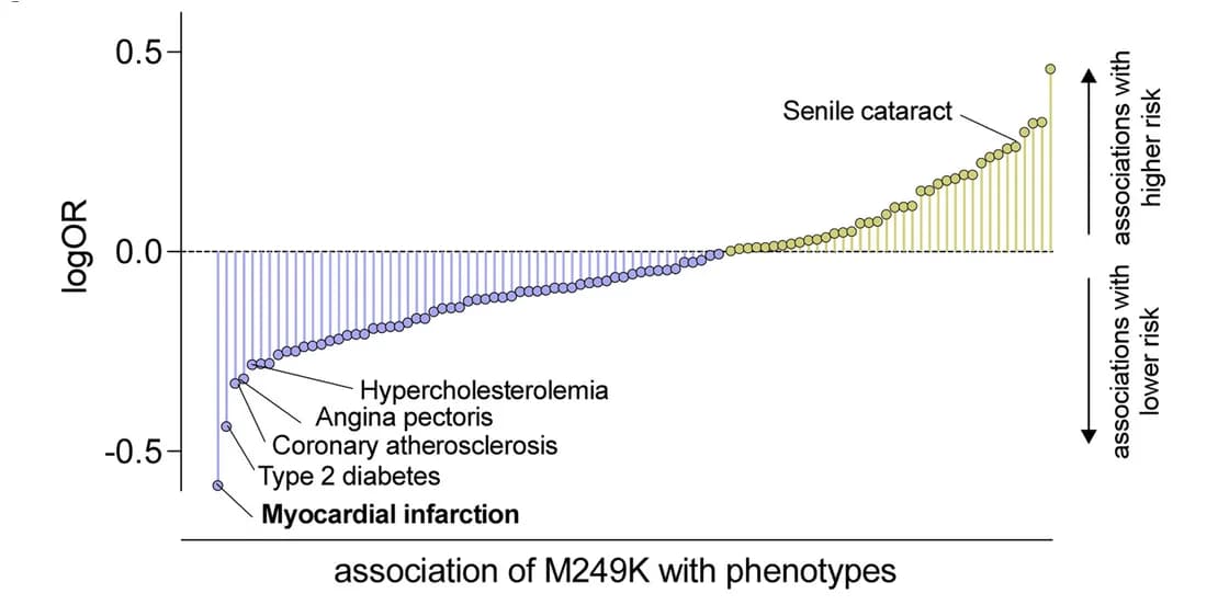 Open access visualization of Bar Plot, Scatter Plot, Phenome-Wide Association Study, UK Biobank, Geisinger DiscovEHR-MyCode Cohort