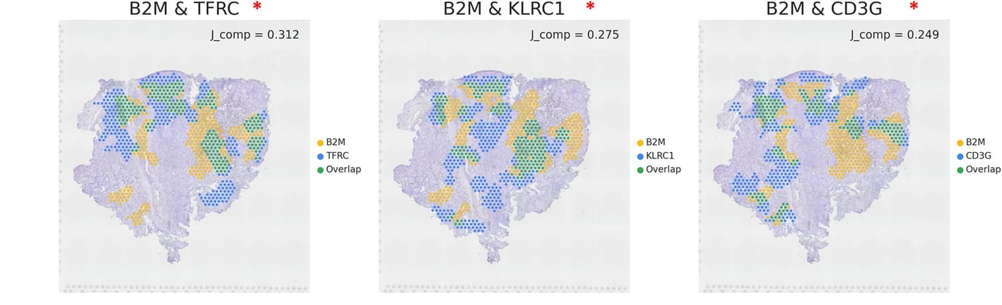 Open access visualization of Microscopy, LR Pairs, Cell-Cell Interactions, Ligand Gene Expression, Spatial Plots